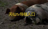 天仙tv导航入口