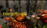 EnergyRing电量指示环 人气热度：21℃